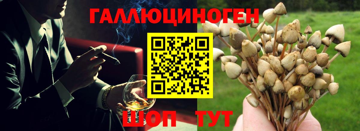 Галлюциногенные грибы прущие грибы  Вход с VPN  Белгород 