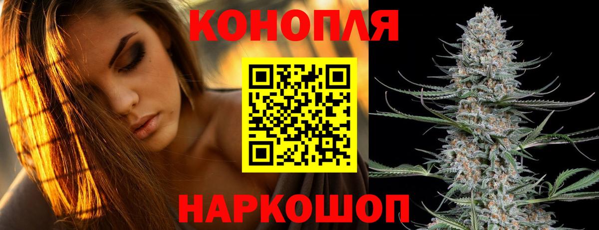 Канабис OG Kush Белгород